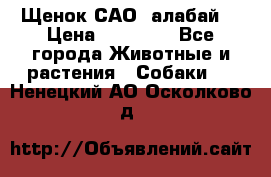 Щенок САО (алабай) › Цена ­ 10 000 - Все города Животные и растения » Собаки   . Ненецкий АО,Осколково д.